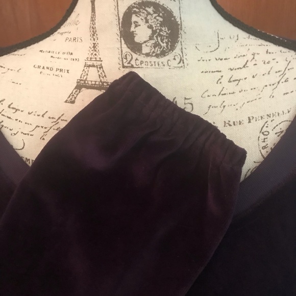 ‼️ONE LARGE LEFT‼️🆕 Juicy Couture Purple Velour Dress - Picture 3 of 6